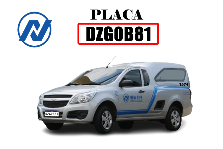 NEWCAR2026.fw